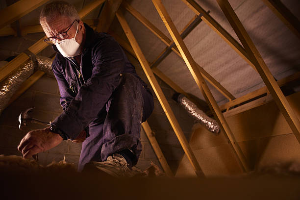 Best Eco-Friendly Insulation in Waukon, IA